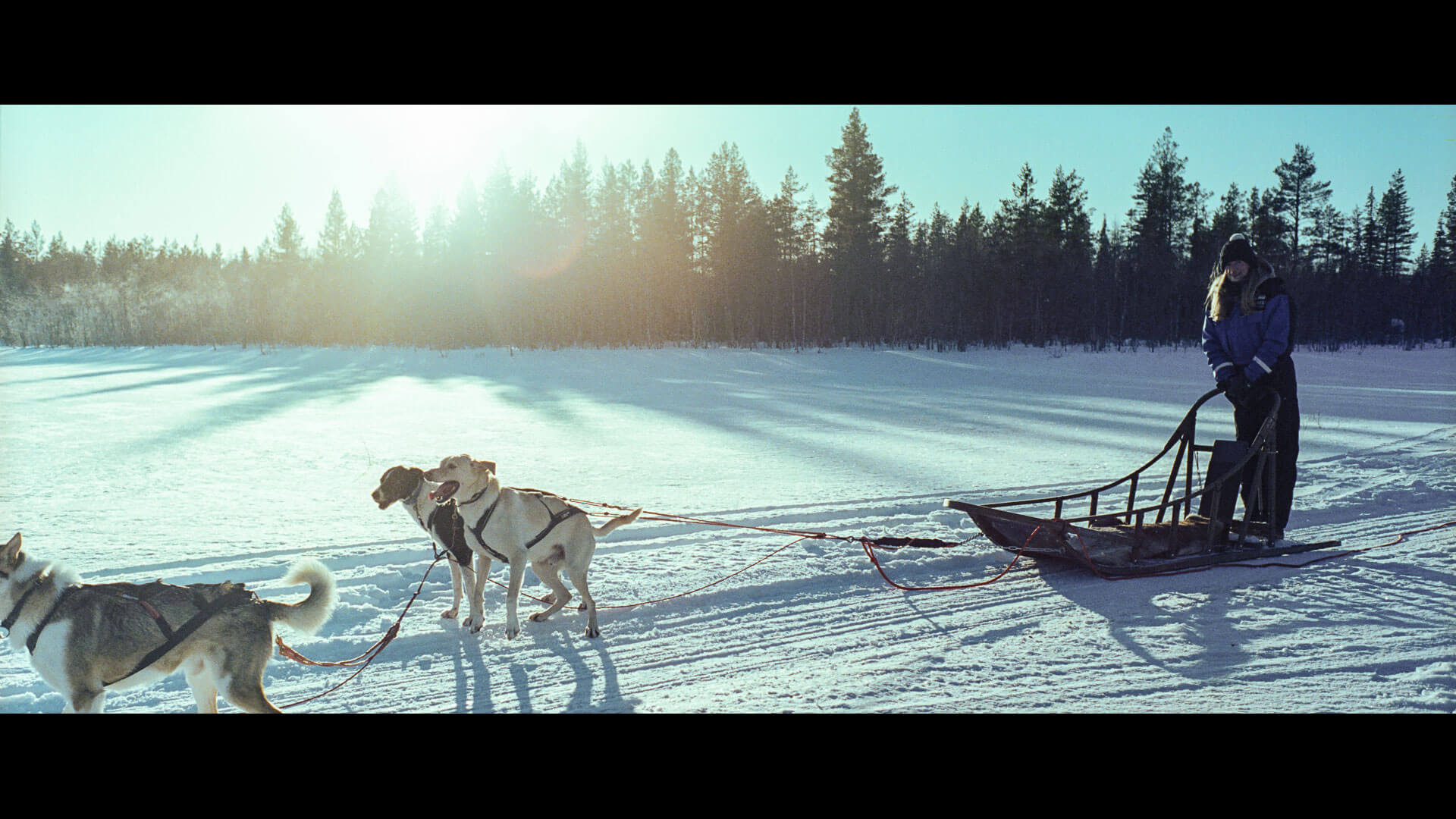 Husky Tour im Apukka Resort - Rovaniemi, Finnland